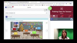 Seesaw - Comments and Feedback