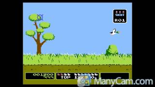 classic arcade games game no 150  duck hunt screenshot 3