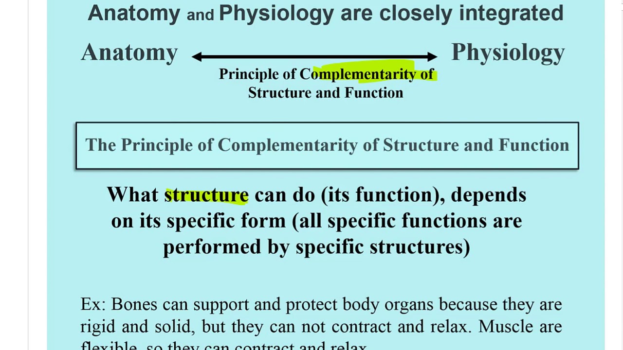 IntroductionLevels of organizationHomeostasis YouTube