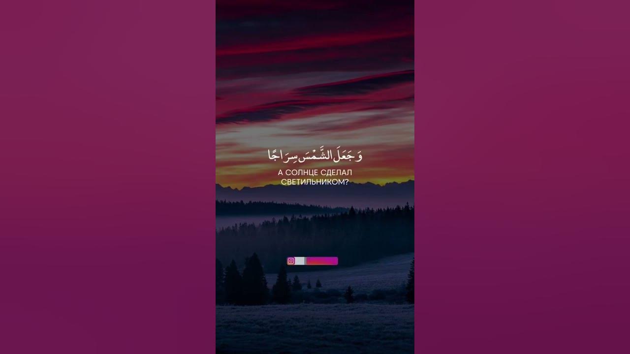 саид маллаев. александр тихомиров саид бурятский. сура муминун 117 аят. саид губденский авария. прозрачное дерево.