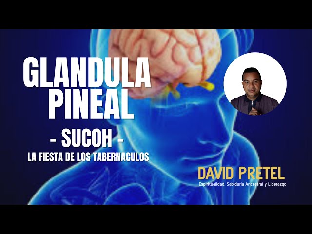 Succoh (LOS TABERNACULOS) - La Unidad/ Glándula Pineal/ Keter/ Chakra Sahasrara.