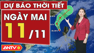 Dự báo thời tiết mới nhất ngày mai 11/11: Bắc Bộ mưa dông, Trung Bộ tạnh ráo | ANTV