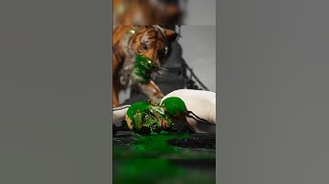 Flash ⚡ Very hard fatality and animality Mortal Kombat 1#shorts