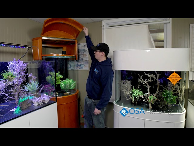 osa services aquarium design