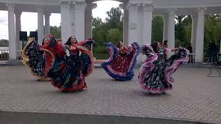 Romanian gypsi dance Romanian gypsi dance