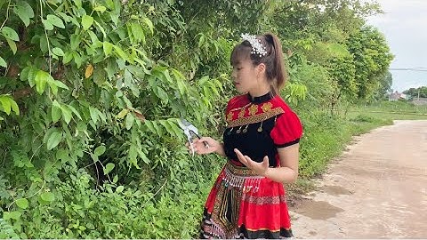 Kéo cắt cành cộng lực sk5. Mẫu kéo khoẻ cắt cành to 0582132888