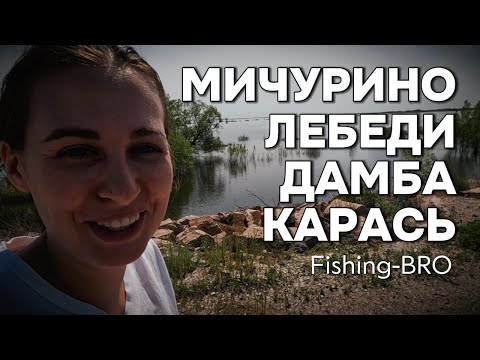 Видео: МИЧУРИНО, ЛЕБЕДИ, ДАМБА, КАРАСЬ 🐟🐟🐟 #рыбалка