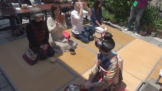 あきた舞妓がネパール支援 新緑の茶会、涼やかに