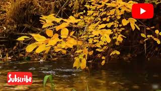 The beauties of Sahreward County