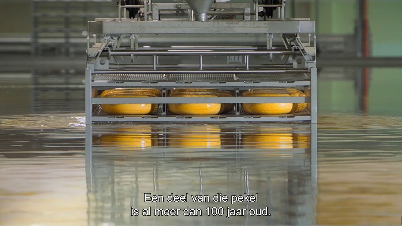 Beemster® kaas: Pekelbad