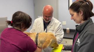 Sand Creek Animal Hospital Tour