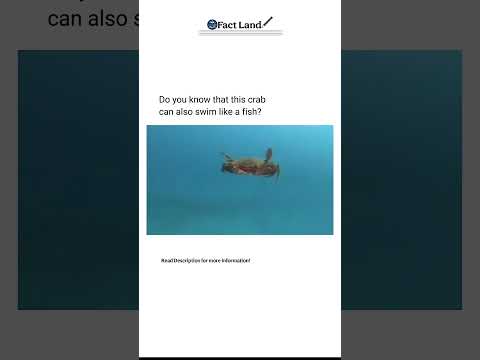 Read description for