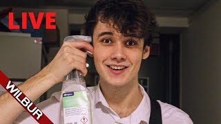 Wilbur soot - Your new Boyfriend  (live on stream)