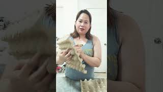 Starting my little garden journey one seedling at a time. 🌱