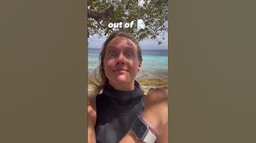 5 scuba signals we hope you never have to use!