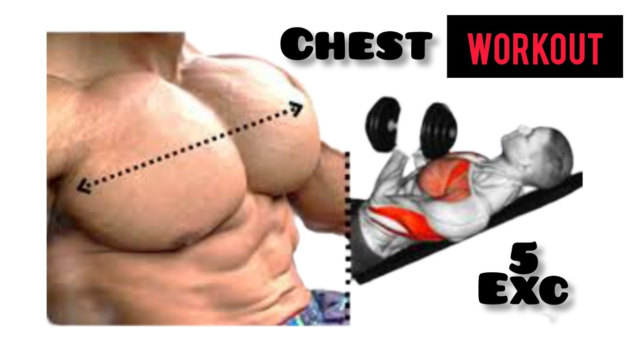 5 BEST CHEST EXCERCISES WITH DUMBBELLS ONLY - YouTube