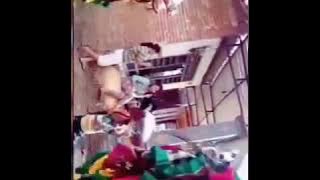 Story wa bolo sedenk crew bhadranaya feat dewi kilisuci