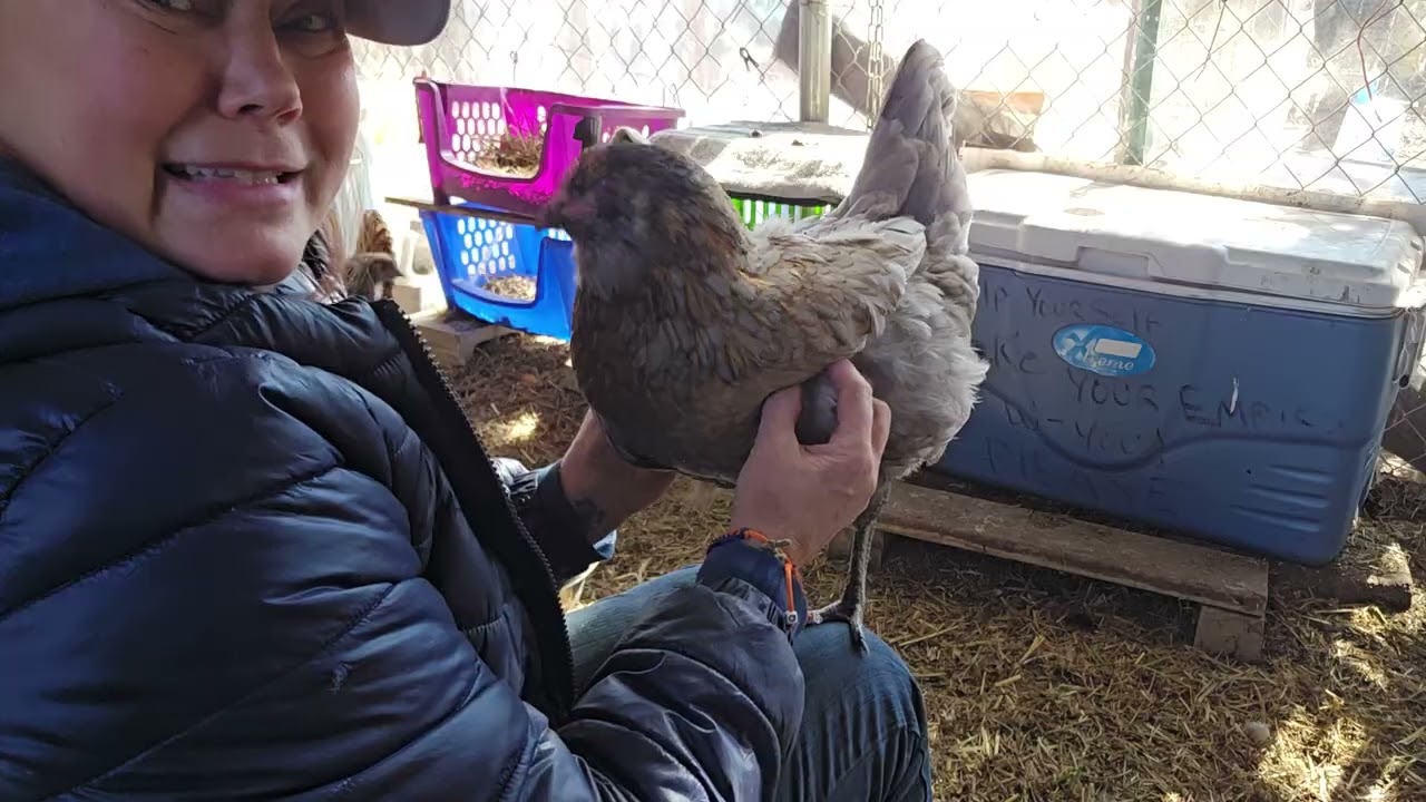 Just hanging with the Girlies.