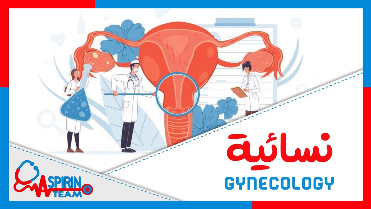 نسائية || المحاضرة 1 د. محمود بواب