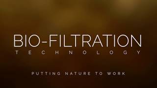 SPECIAL EDITION VIDEO SERIES: Volume 3 - Importance of Bio-Filtration