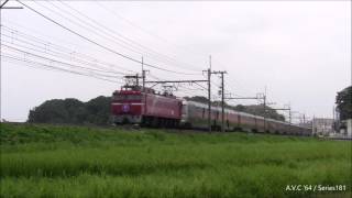EF81(133号機)~「カシオペア紀行」が帰京