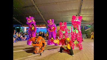 Múa Lân - Tứ Quý Lân - Thắng Nghĩa Đường - Về Chợ Lớn Xem Múa Lân 2022