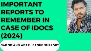 Important reports to remember in case of IDOCs (2024)