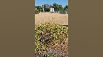 #SHORTS TRỜI TRONG XANH CO CHẾT HẾT #KHANH NGUYEN CUỘC SỐNG ĐỨC