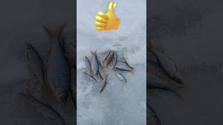 Зимняя рыбалка #рыбалка #fishing #short