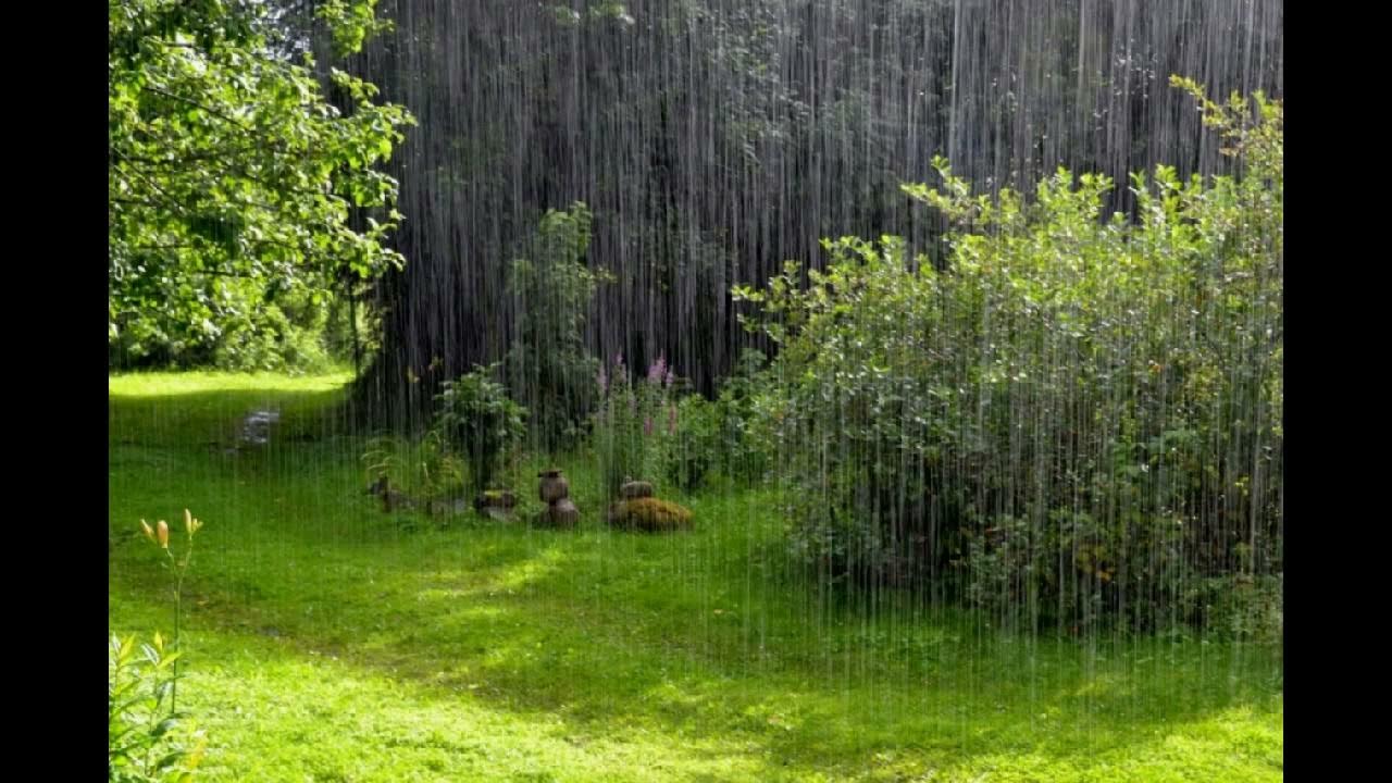 Слушать звук природы дождь. Засыпать под звуки дождя. Rain. Фото звука в природе. Звук дождя и т.д.. Звук уснул тропа.