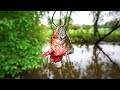 Flooded Creek Fishing With BIG BAITS!!! (Ripped To Shreds)