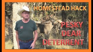 HOMESTEAD HACK - PESKY DEER DETERRENT by PINE MEADOWS HOBBY FARM A Frugal Homestead 300 views 4 weeks ago 9 minutes, 12 seconds