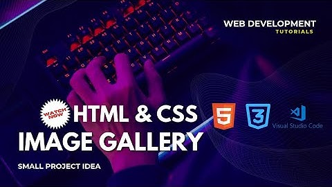 Create a stunning IMAGE GALLERY within 5 minutes |  Web Projects| HTML & CSS Tutorial for Beginners