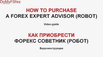 How to purchase Forex robot Expert Advisor 2020