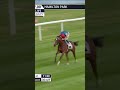 £800,000 buy Royal Heritage makes stylish debut 🚀