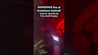 999999999 live at Greenlove festival!