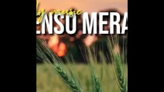 Lirik lagu lenso merah by Willy music🎶🎵