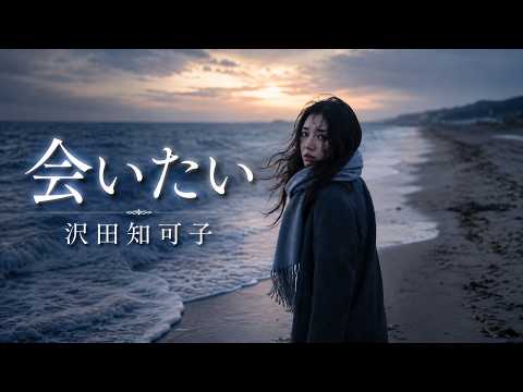 会いたい / 沢田知可子  AI Cover