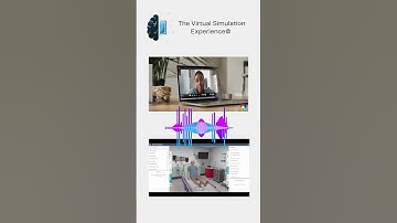 The Virtual Simulation Experience
