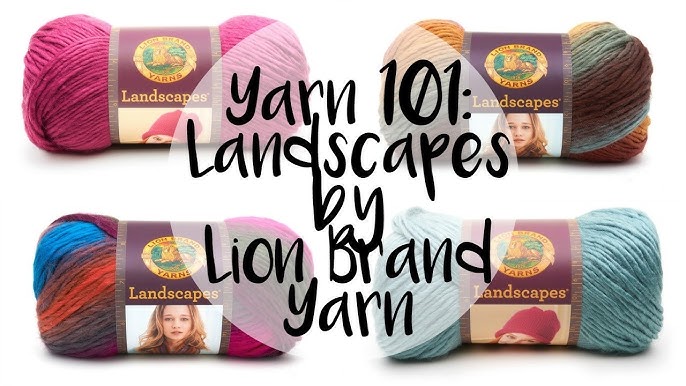 Lion Brand Yarn Landscapes Yarn Multicolor Yarn for Knitting Crocheting  Yarn 1-Pack Boardwalk Boardwalk 1 Pack