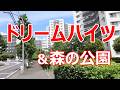 ドリームハイツ & 森の公園