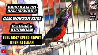 KONIN GACOR FULL ISIAN BREN CIBLEK KETERAN SUPER MEWAH TAJAM SPEED RAPAT