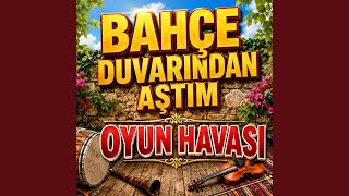 Bahçe Duvarından Aştım