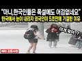 &quot;폭설에도 어김없는건 한국인들 뿐이야&quot; 한국에서 함박눈이 내리자 외국인이 5초만에 기절초풍한 이유 &quot;해외반응&quot;