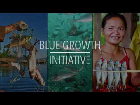 FAO Policy Series: Blue Growth Initiative
