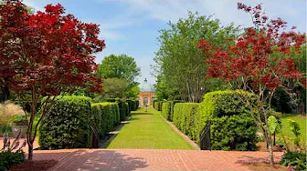 Nature Sounds for Relaxing with Garden Tour (NO MUSIC) | New Orleans Botanical Garden, Peaceful