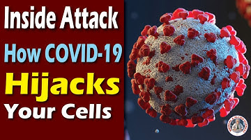 Inside Attack How Covid-19 Hijacks Your Cells