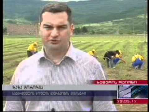 ზაზა გოროზია სოფელ ქვემო ოსიაურში