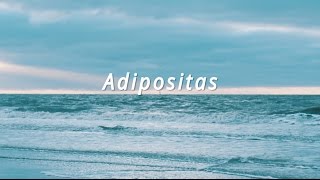 Adipositas