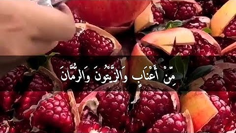 إِنَّ اللَّهَ فَالِقُ الْحَبِّ وَالنَّوَىٰ .. إدريس أبكر سورة الأنعام  الآية 95 -100
